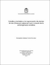 Miniatura