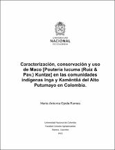 Miniatura