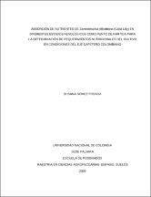 Miniatura