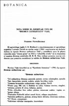 Miniatura