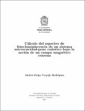 Miniatura