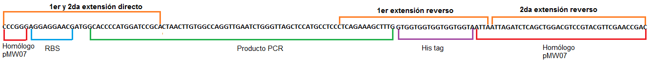 image15.png