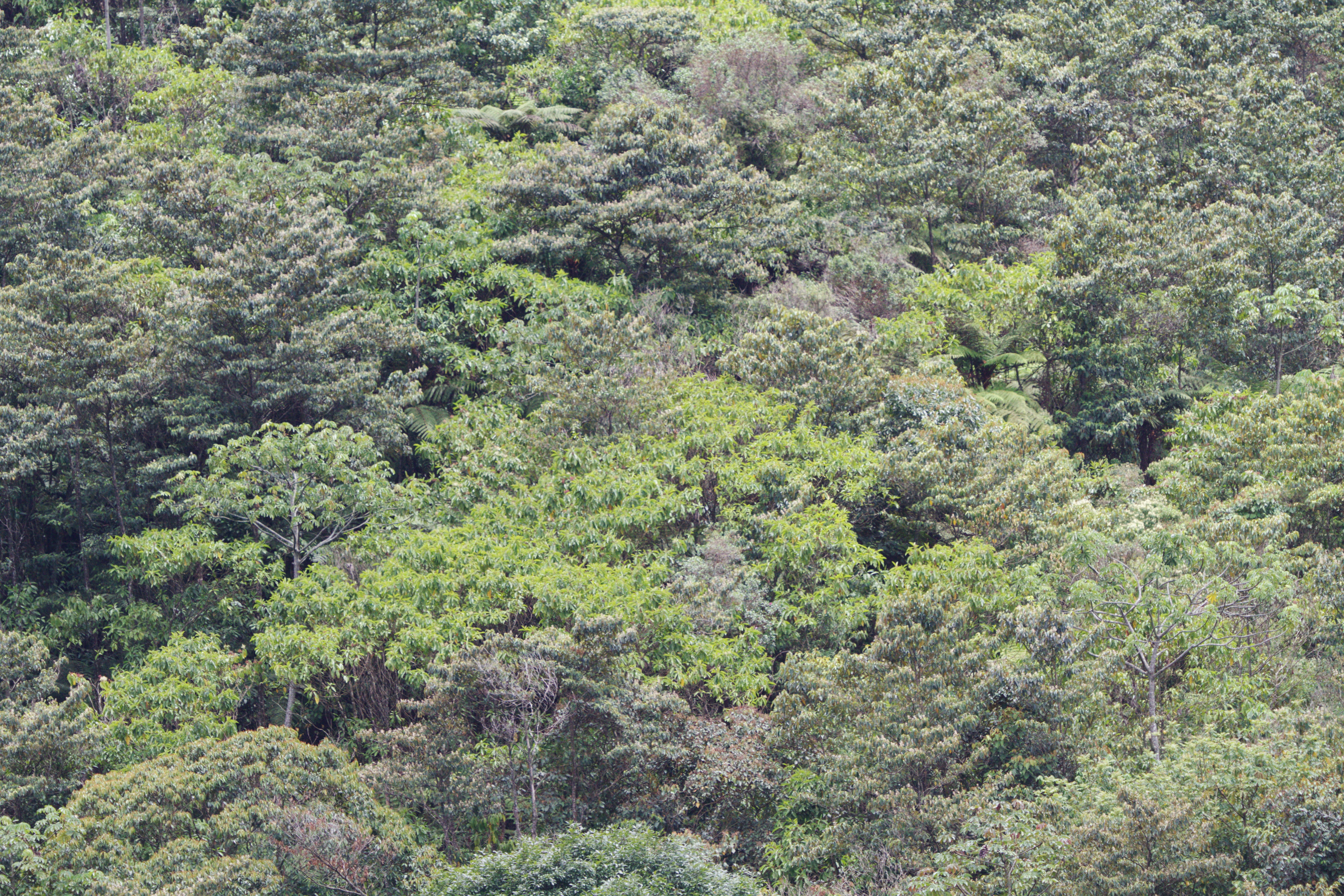 19279-63288-1-SP.jpg