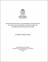 Miniatura