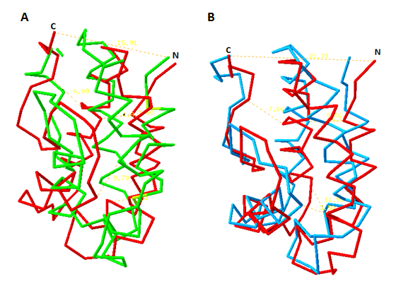 image12.png