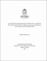 Miniatura