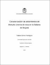 Miniatura