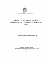 Miniatura