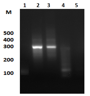image6.png