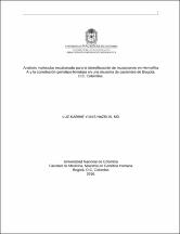 Miniatura