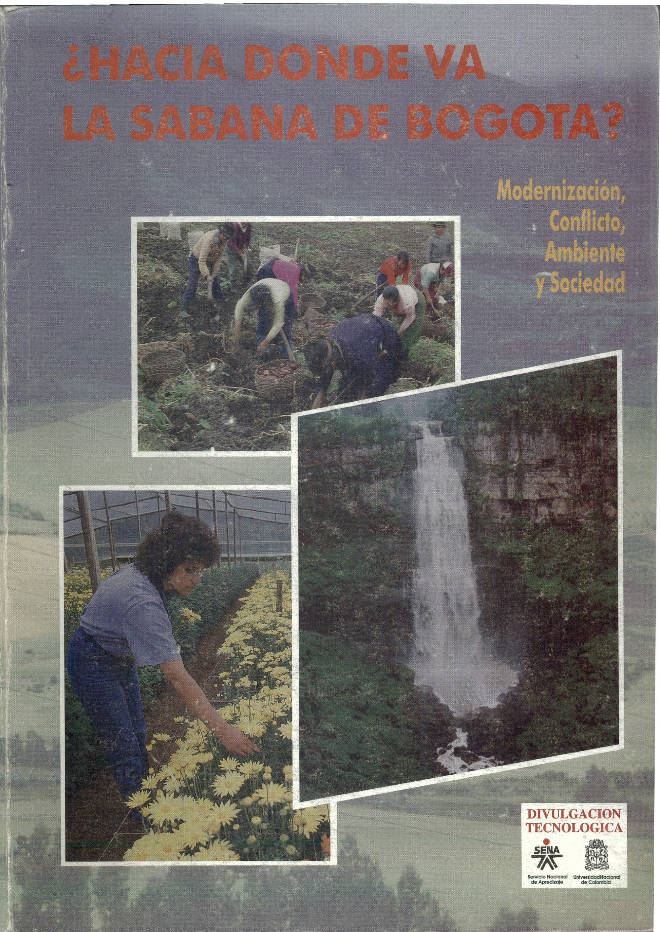 portada.jpg