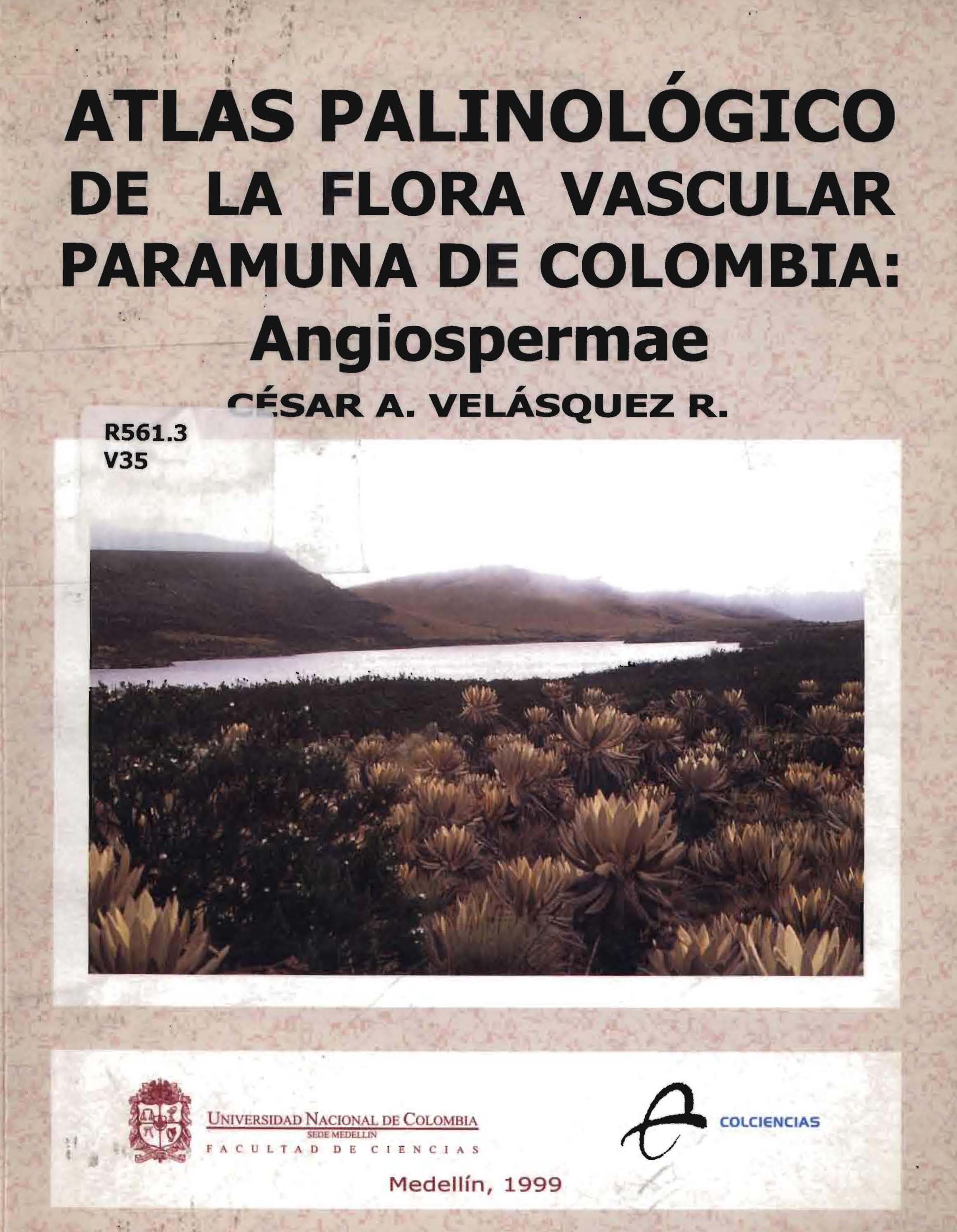 cesaraugustovelasquezruiz.2014.jpg