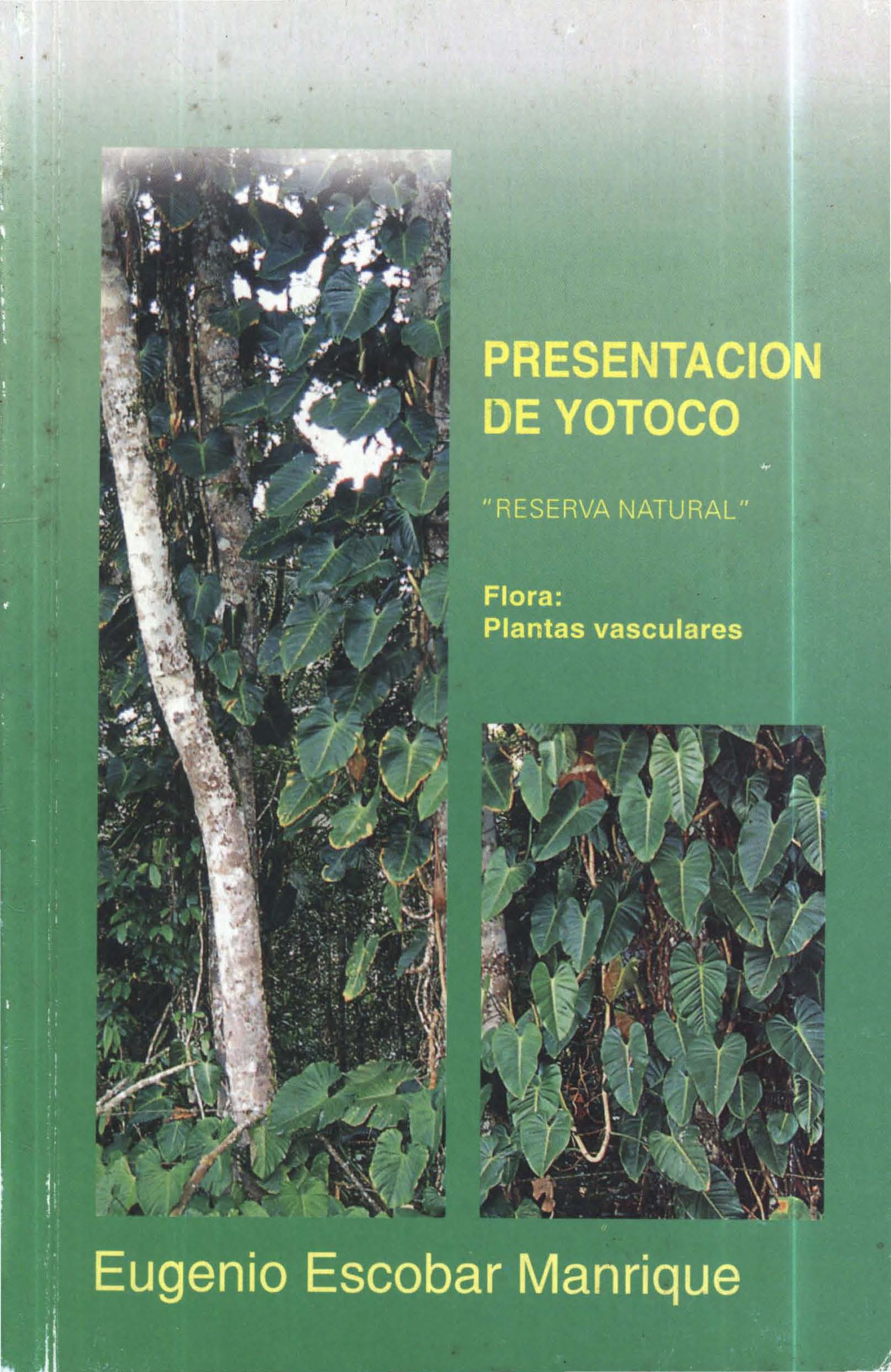 PresentaciondeYotoco.jpg