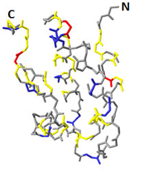image11.png