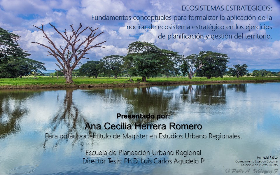 Portada tesis 43159794.2015.jpg