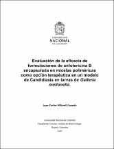 Miniatura