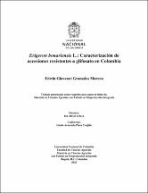 Miniatura