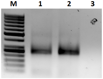image18.png