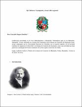 Miniatura