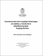 Miniatura